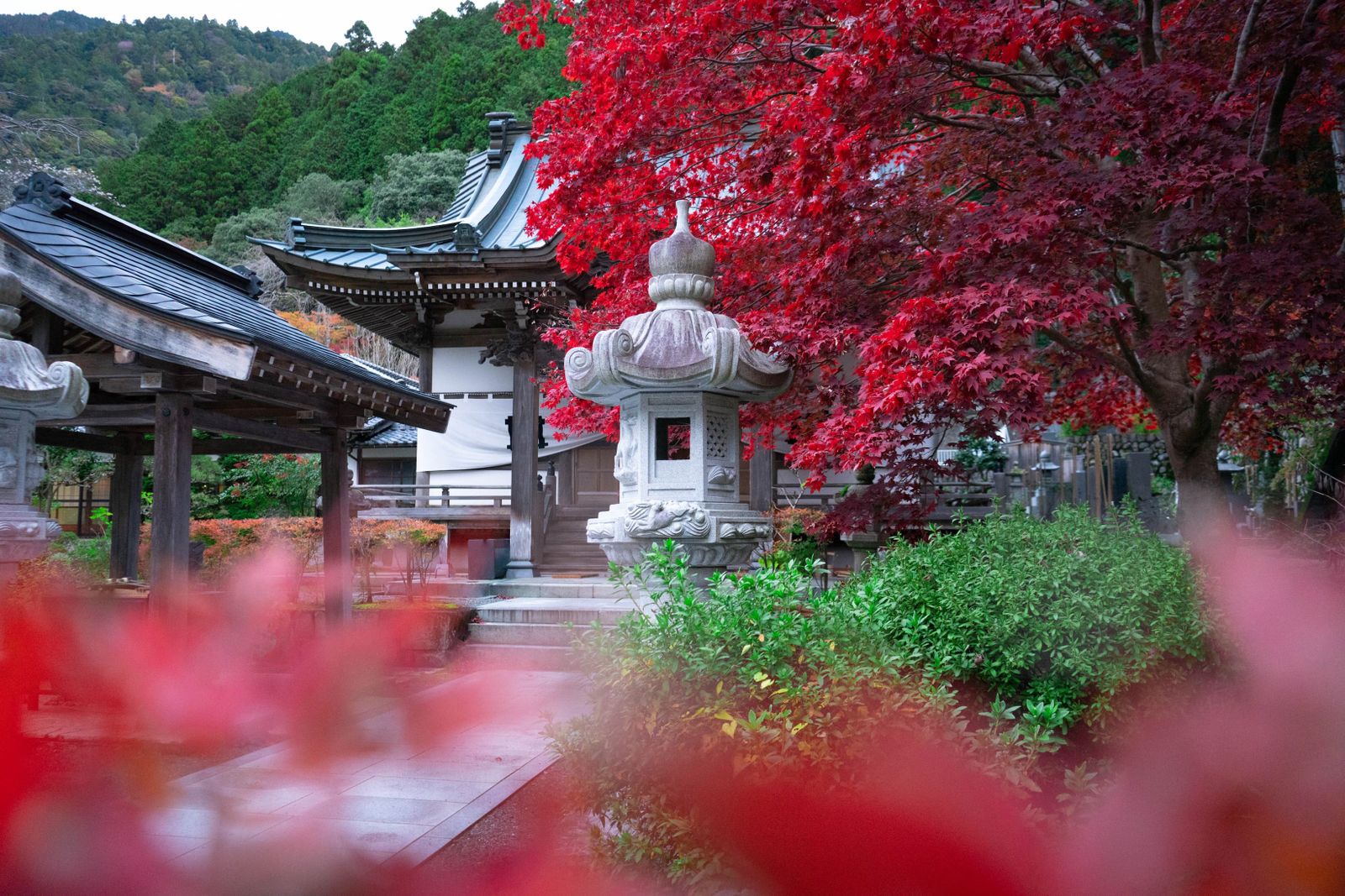 Zen Gardens & Landscaping